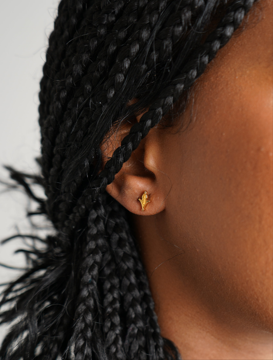 Bagzan Stud Earrings ©